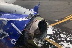 一名女子在'飞机窗口'被吸入后死亡