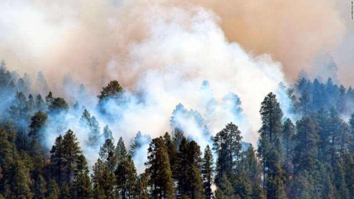 亚利桑那州的Tinder Fire已经摧毁了33所房屋，并且仍在进行中